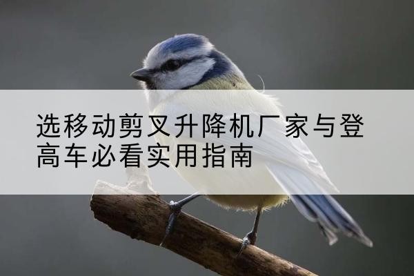 临平电动升降机厂家-选移动剪叉升降机厂家与登高车必看实用指南