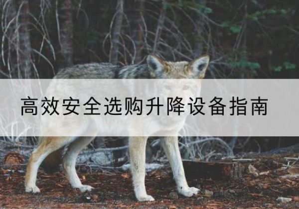 临平升降货梯厂家推荐-*安全选购升降设备指南