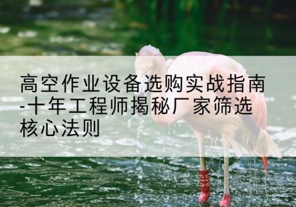 临平剪叉式升降机厂家-高空作业设备选购实战指南-十年工程师揭秘厂家筛选核心法则